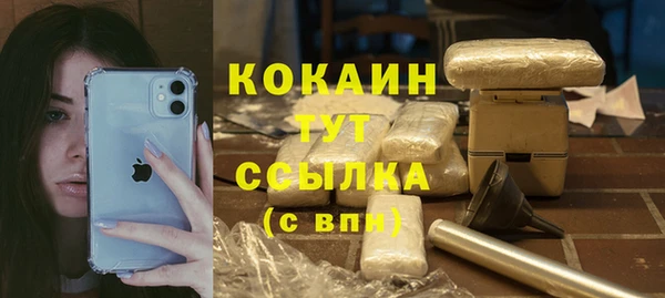 mdpv Белокуриха