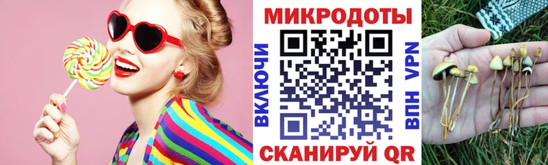darknet наркотические препараты  Вельск  Псилоцибиновые грибы MAGIC MUSHROOMS 